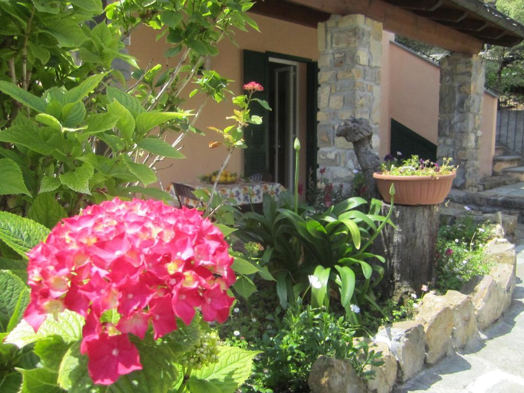 Agriturismo Turlin Vallebona ภายนอก รูปภาพ